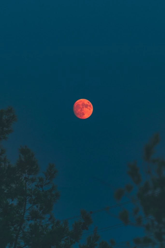 August's Full Moon Will Rise This Week – Bringing Another Eclipse With It