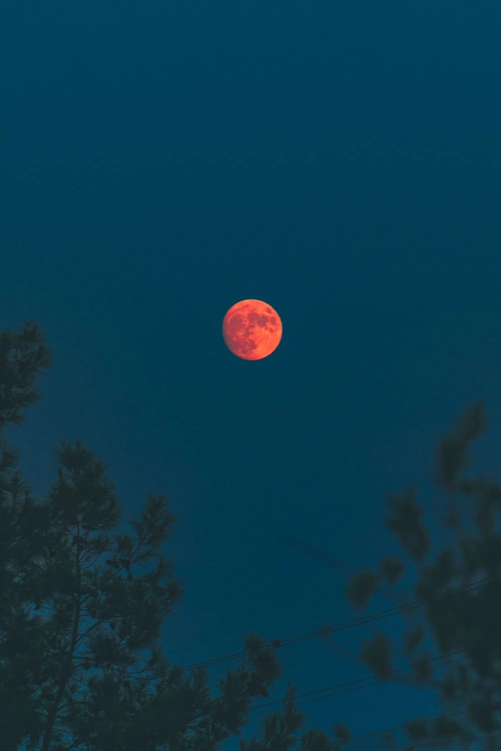 August's Full Moon Will Rise This Week – Bringing Another Eclipse With It