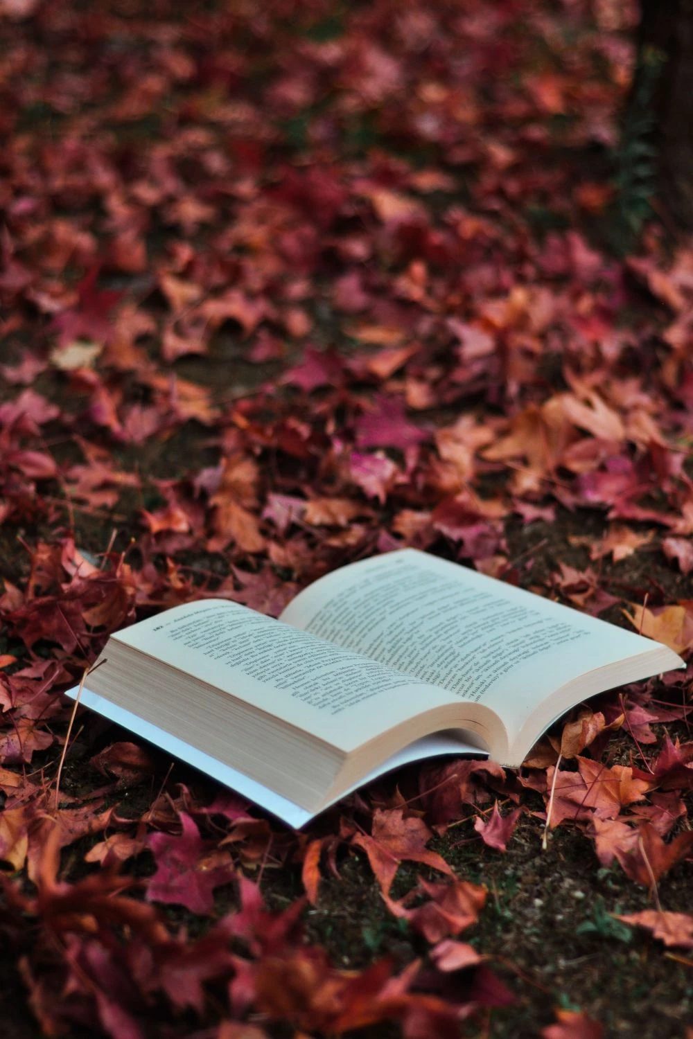 12 New Novels To Fall For This Autumn